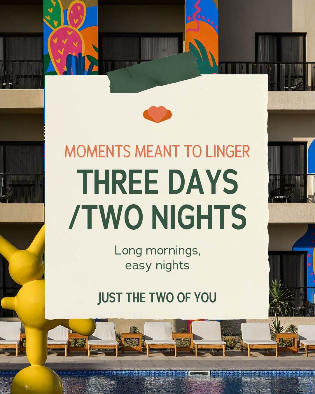 WhatsApp Image 2026-02-15 at 14.02.41 (3)