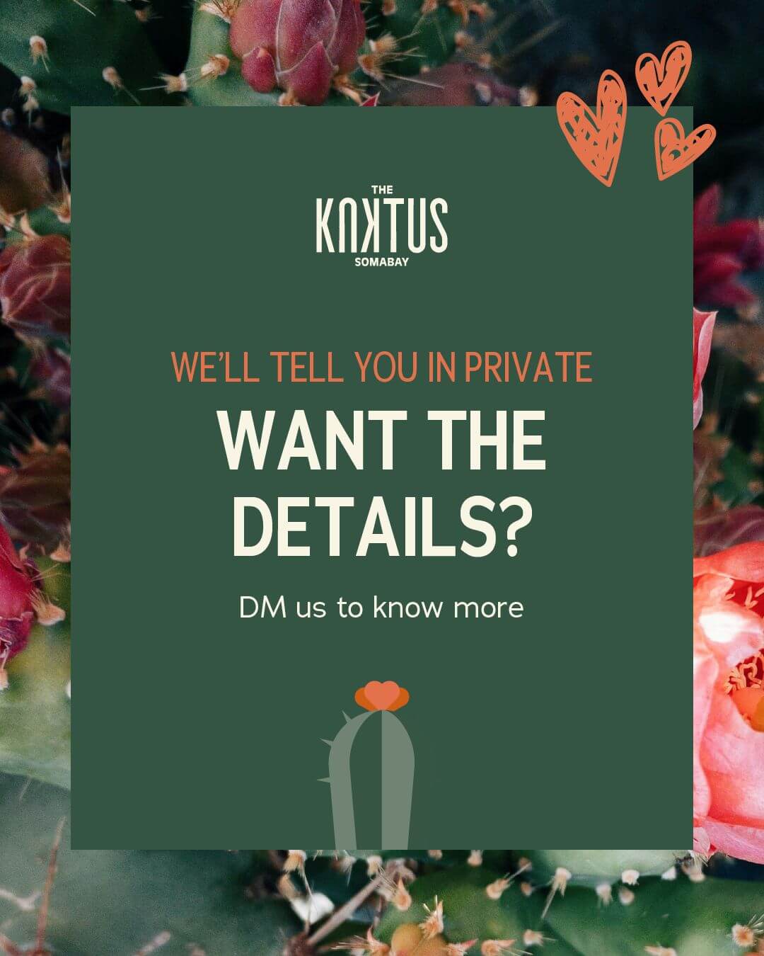 WhatsApp Image 2026-02-15 at 14.02.41