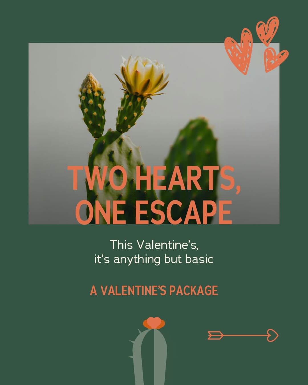 WhatsApp Image 2026-02-15 at 14.02.42